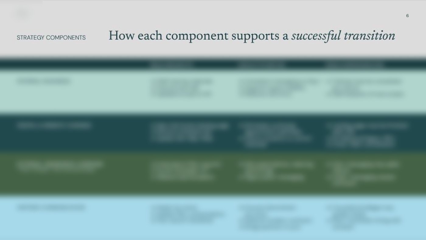 Strategy components table: four workstreams with requirements, purpose and risks. Details blurred.