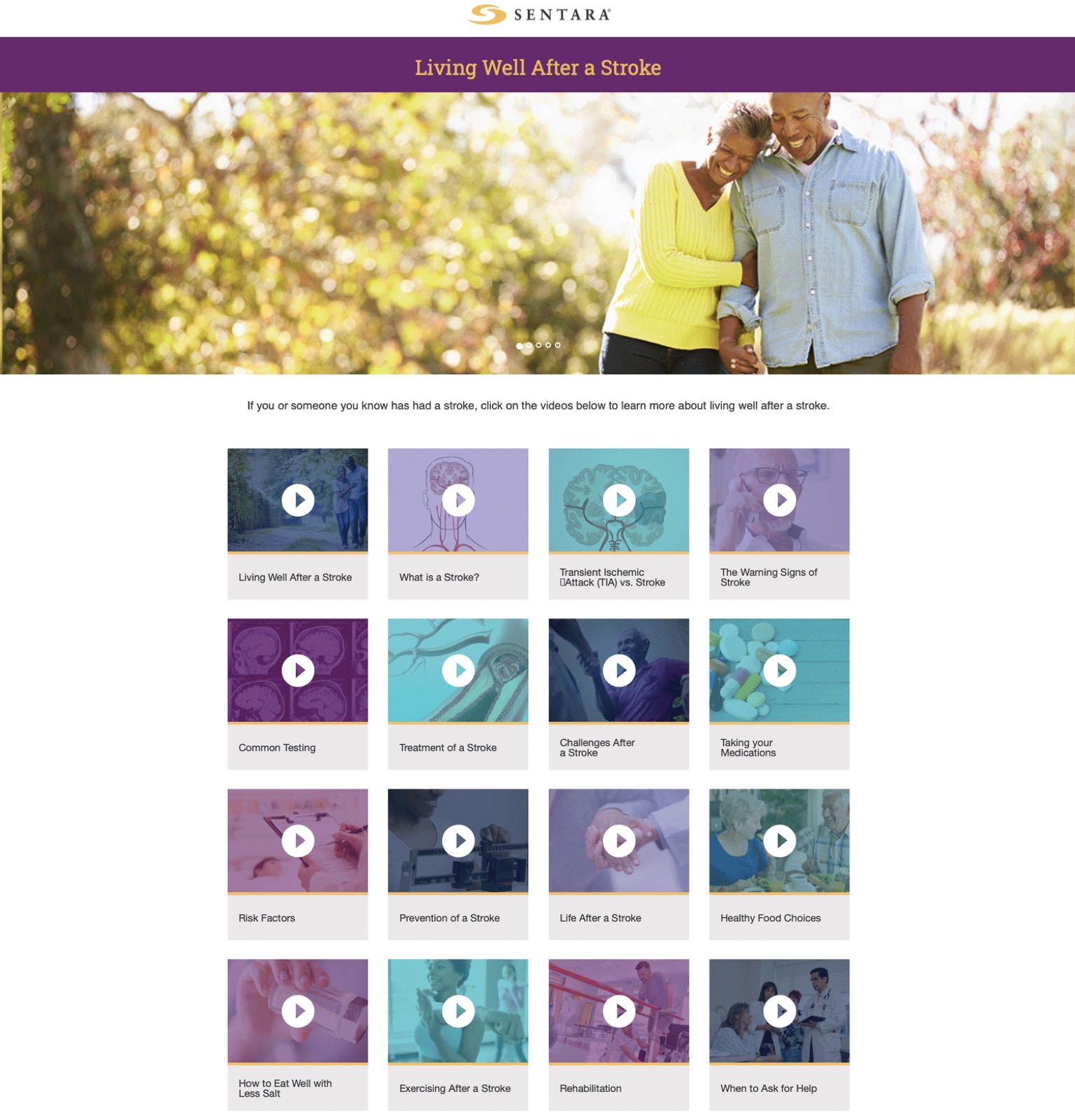 Grid of the 16 episode thumbnails in the portal.